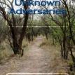 The Unknown Adversaries